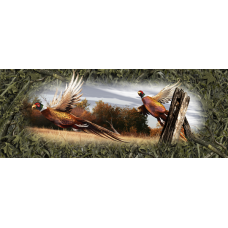 Ringneck Pheasant Tailgate 003